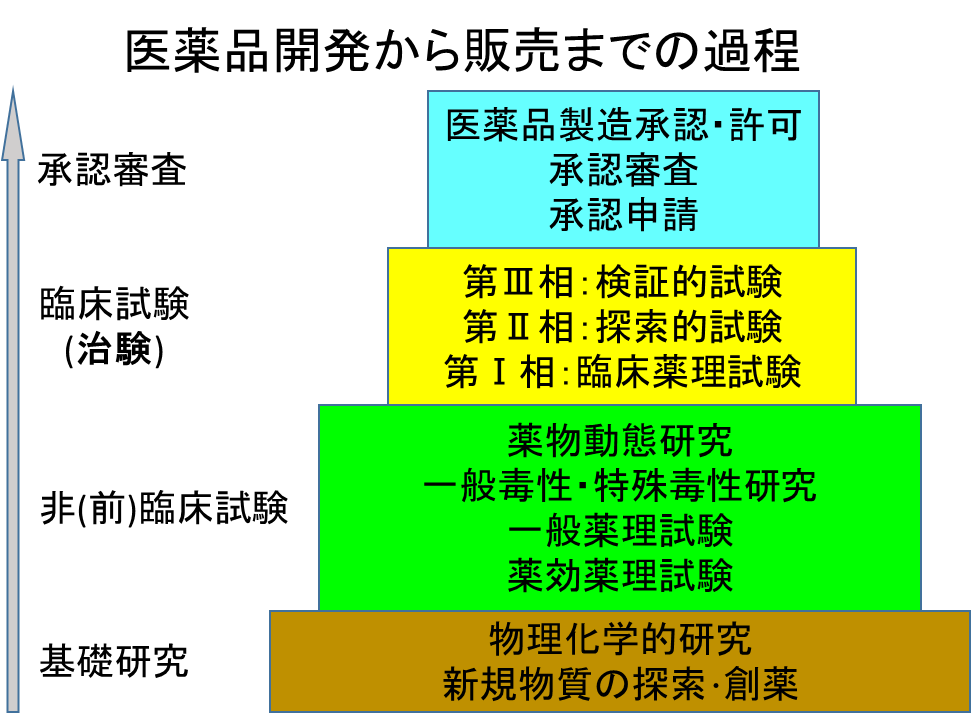 医薬品開発から販売までの過程